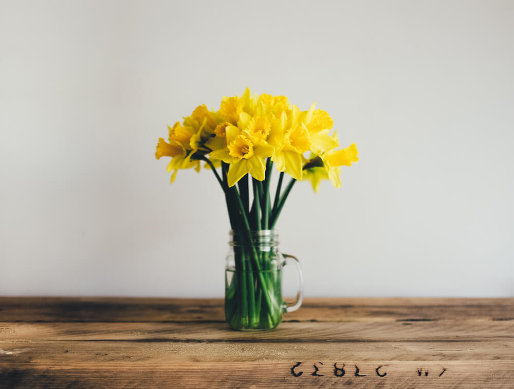 vase with spring daffodils 